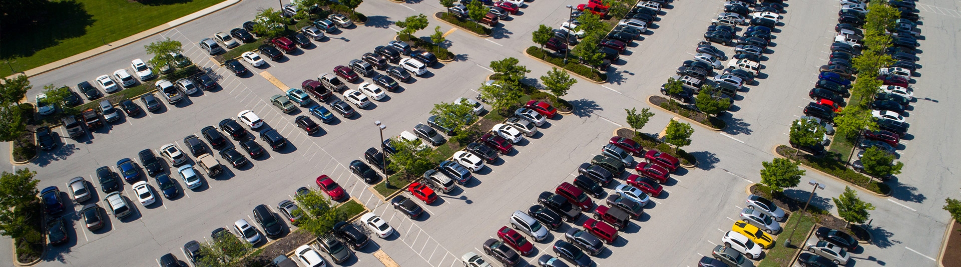 License to Sue? Court Rules That a Motor Vehicle Dealer Does Not Need a Dealer’s License to Bring a Statutory Claim for Termination without Good Cause